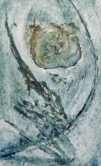 IMG_0329 - Version 2